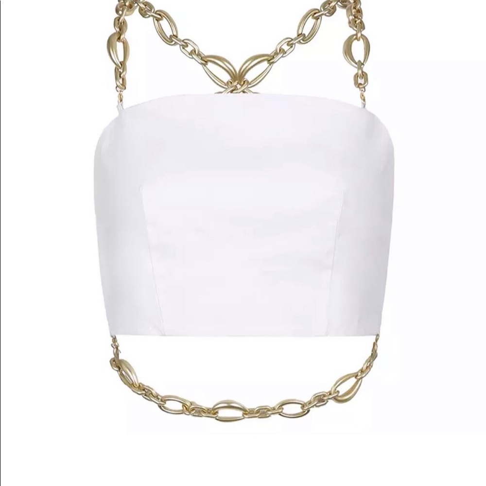Chain halter